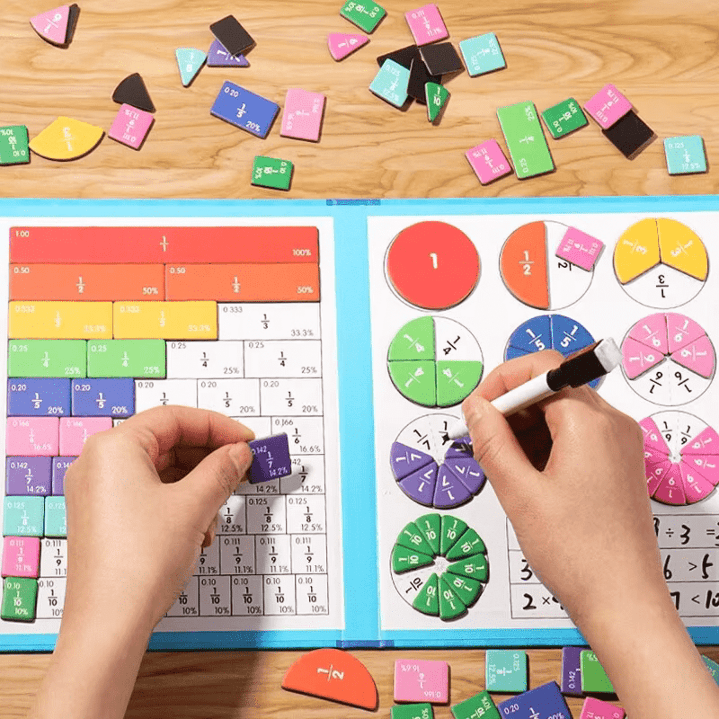 Mathe Dino - Das magnetische Bruch-Puzzle