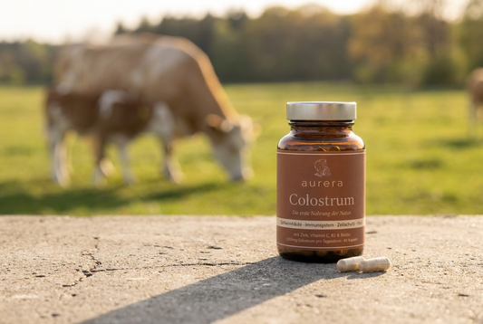 Warum unsere Colostrum-Verfügbarkeit begrenzt ist