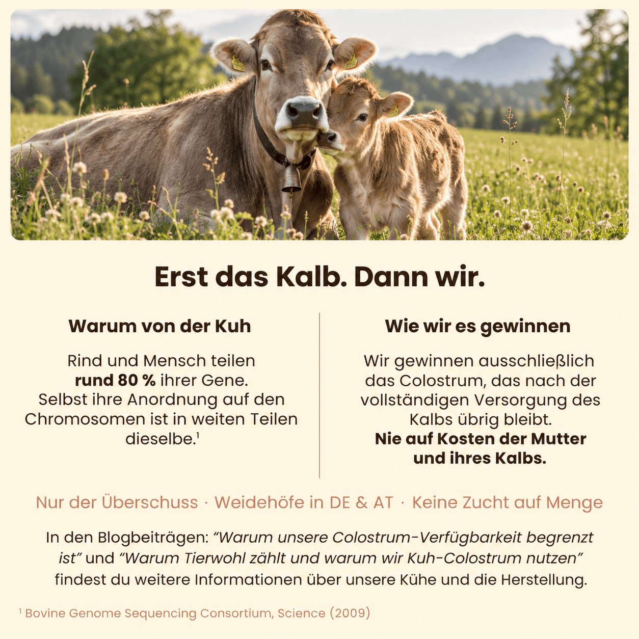Aurera Colostrum