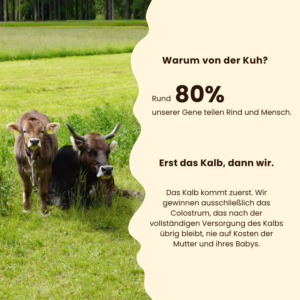 Aurera Colostrum