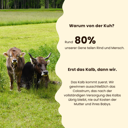 Aurera Colostrum